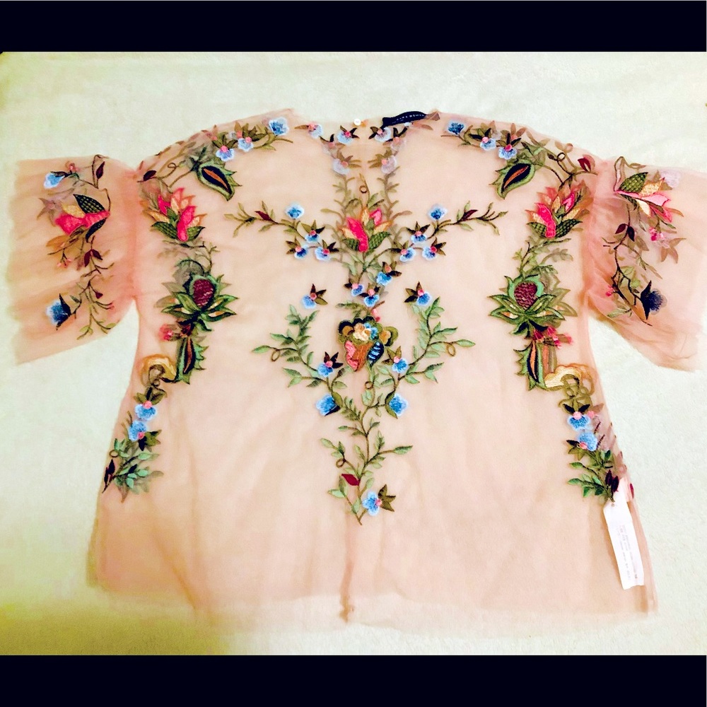 Zara Sheer Embroidery Blouse